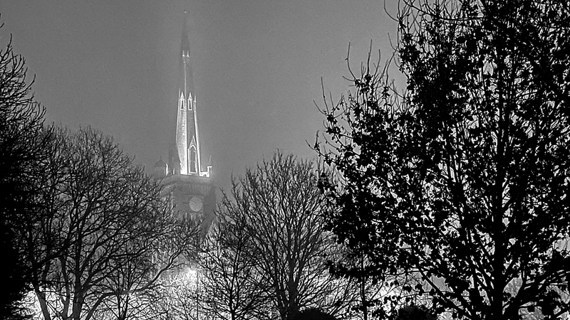 Sentinel in Mist