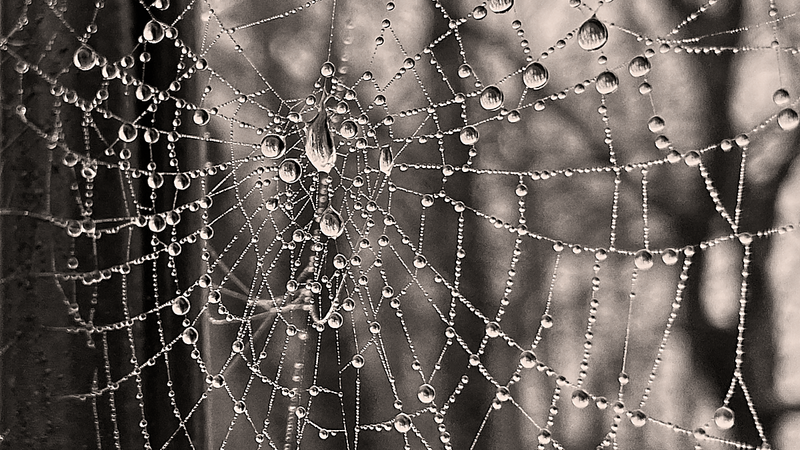 Gossamer diamonds